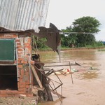 Đồng Tháp: Công bố tình huống khẩn cấp sạt lở bờ sông Tiền