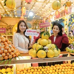 Lễ hội Trái cây Bắc Ninh 2025 khai mạc, đấu giá gây quỹ hỗ trợ miền Trung - Tây Nguyên