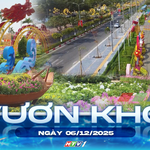 Vươn khơi - Ngày 6/12/2025 | Chỉnh trang đô thị và trang trí Tết Nguyên đán Bính Ngọ 2026