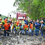 Gần 62.000 cây gỗ lớn được trồng tại rừng đầu nguồn Việt Nam