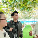 Từ hái nho đến thưởng thức tiệc "dừa nhà trồng" tại Suối Tiên