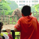 Thảo Cầm Viên Sài Gòn: Hơn một thế kỷ gieo mầm yêu thiên nhiên cho thế hệ trẻ