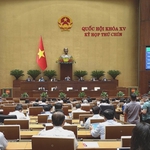 Quốc hội thông qua 5 luật và nghị quyết