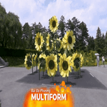 18.000 hoa hướng dương trang trí triển lãm "Những đóa hoa của Van Gogh"