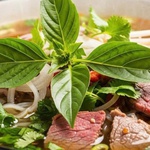 Món rau ăn kèm với phở không ngờ có thể chống ung thư, tiểu đường, mỡ máu