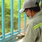 Phường Tăng Nhơn Phú ra quân tháo dỡ "chuồng cọp"
