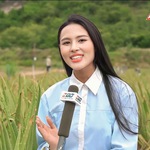 Nữ cử nhân ngành Xét nghiệm Y khoa ghi dấu ấn tại The TVFACE 2025
