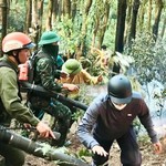 Hàng trăm người đang chữa cháy rừng ở Nghệ An do sét đánh