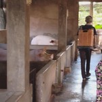 TP.HCM: Thêm 2 ổ dịch tả heo Châu Phi tại Long Hải và Xuân Sơn