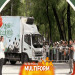 Hai gấu trúc Zhi Shi và Zhi Ma chuyển đến Cáp Nhĩ Tân