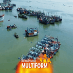 TP.HCM đẩy mạnh số hóa, siết chặt quản lý để gỡ “thẻ vàng” thủy sản