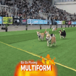 Sôi động lễ hội chó Corgi tại Litva