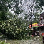 Thủ tướng chỉ đạo tập trung khắc phục hậu quả bão số 5 và ứng phó mưa lũ sau bão