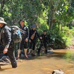 Những người âm thầm gìn giữ sinh cảnh voi giữa đại ngàn