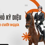 Học vẽ môn cưỡi ngựa