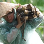 Em Phi Dung: Ba em bệnh nặng, mẹ liệt ngửa người, em gái ba lần mổ tim