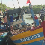 Giá hải sản giảm mạnh, ngư dân gặp nhiều khó khăn