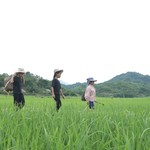 Mái ấm gia đình Việt: Đại Nghĩa, Đồng Ánh Quỳnh và Quang Hà nhiều lần bật khóc vì xót xa