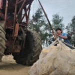 Bão số 10 (Bualoi): Hà Tĩnh cấm biển, sơ tán hơn 6.500 hộ dân