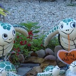 Cùng HTV Hành động xanh 2025 - Tập 22: Du lịch xanh vì một tương lai xanh