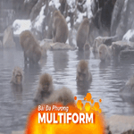 Xem khỉ tắm suối nước nóng ở Jigokudani, Nhật Bản