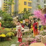 Người dân nô nức check-in đường hoa Xuân trước thềm Tết Nguyên đán 2026