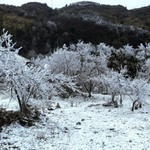 Hà Nội trời rét đậm, rét hại, Tây Bắc có nơi dưới 6 độ C