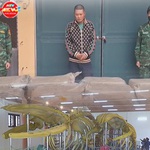 60 Giây ngày 26/1/2026 | Quảng Ninh: Bắt giữ 800 kg vú heo nhập lậu trên biển