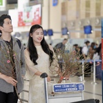 Vietnam Airlines vận chuyển mai đào Tết Nguyên đán Bính Ngọ 2026
