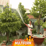 Thị trường mai Tết 2026: Nhà vườn chuyển hướng sang phân khúc giá trị cao