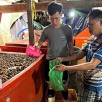 Triệt phá đường dây ngâm thịt ốc bằng hóa chất công nghiệp quy mô lớn