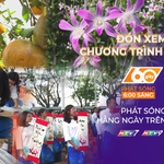 60 Giây ngày 4/1/2026 | TP. Hồ Chí Minh: Hơn 1.000 người đồng diễn nghệ thuật thư pháp