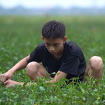 Quang Minh bị thận bẩm sinh, cùng mẹ chạy thận giai đoạn cuối vượt khó