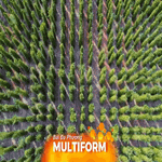 Du lịch canh nông tạo làn gió mới cho du lịch TP. Hồ Chí Minh