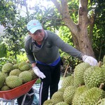 Đến hết năm 2026 sẽ triển khai thí điểm Hệ thống truy xuất nguồn gốc nông sản