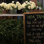 Những cành hoa trắng gửi lời tri ân 731 hài cốt liệt sĩ