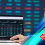 Bắt sóng thị trường 15/10/2026: VN-Index giảm phiên thứ sáu, vàng lao dốc, USD tăng mạnh, dầu thế giới nhích lên | NewZMoney