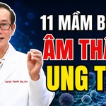11 tác nhân gia tăng nguy cơ ung thư | HTV Chiến thắng ung thư