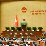 Quốc hội thảo luận dự án Bộ luật Hình sự (sửa đổi)