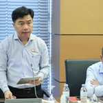 Xác định rõ phạm vi điều chỉnh giữa Luật Đấu giá tài sản với các luật chuyên ngành