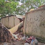 TP. Hồ Chí Minh: Cây xanh bật gốc đề sập tường nhà dân