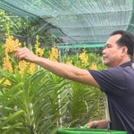 TP. Hồ Chí Minh đặt mục tiêu tăng trưởng sản xuất hoa, cây kiểng 2,5 - 3,5%/năm