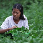 Chị cả và những cô bé mồ côi | Mái ấm gia đình Việt