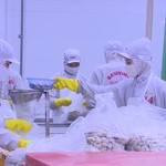 TP. Hồ Chí Minh hỗ trợ doanh nghiệp tận dụng CEPA mở rộng thị trường xuất khẩu