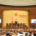 Hôm nay (29/10) Quốc hội thảo luận về dự án Luật Đất đai (sửa đổi)