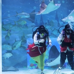 Thợ lặn Hàn Quốc chào đón Tết Nguyên đán dưới nước