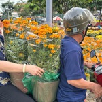 28 tết, người dân TP. Hồ Chí Minh đi chợ hoa tết cười tươi ưng ý: 'Khỏi phải trả giá, kỳ kèo…'