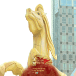 Không khí đường hoa, đường sách trước ngày khai mạc