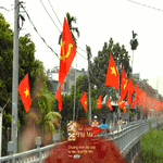 Làng mai Bình Lợi rực rỡ sắc vàng, mang Tết sớm về ngoại thành TP. Hồ Chí Minh