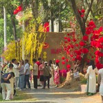 TP. Hồ Chí Minh rộn ràng không gian Xuân Bính Ngọ, thêm nhiều công viên mới phục vụ người dân